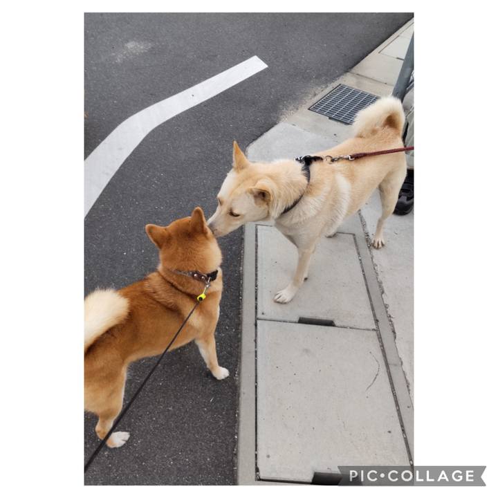 1b2f43d2 dd71 45bd b4d0 9194bc30a158 1694299458218