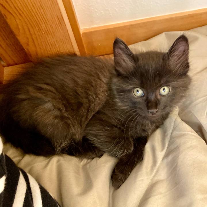 1b2f528c b6a3 4b10 9415 d3b17068f38c 1698569006104