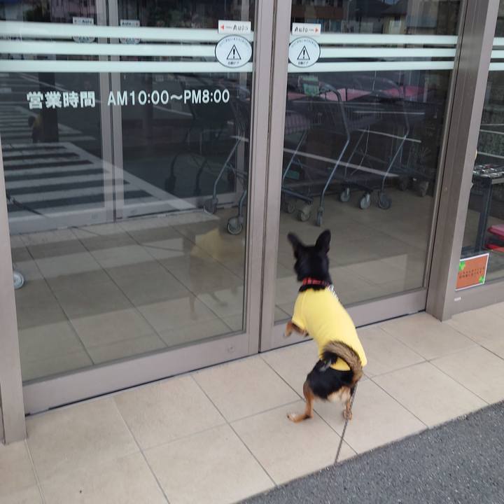 1b2f76fb cc86 4e77 99c6 f733faeea238 1764063355074