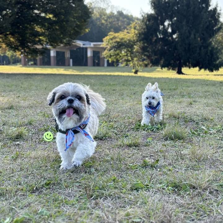 1b302b63 efe6 4498 b29a 52994dbdc01a 1761824468386