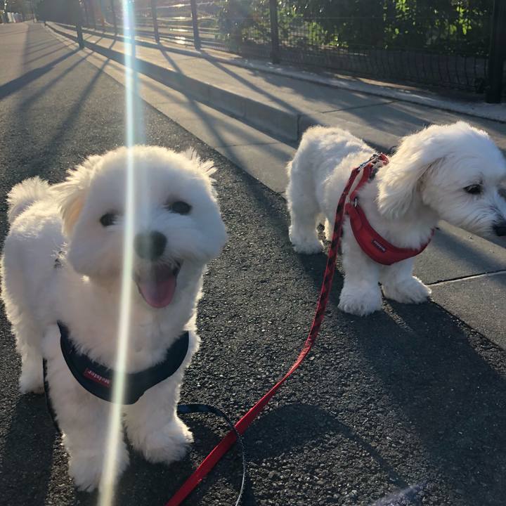 1b303aa3 e254 4879 b9ce 42c83bae5c06 1530308273214