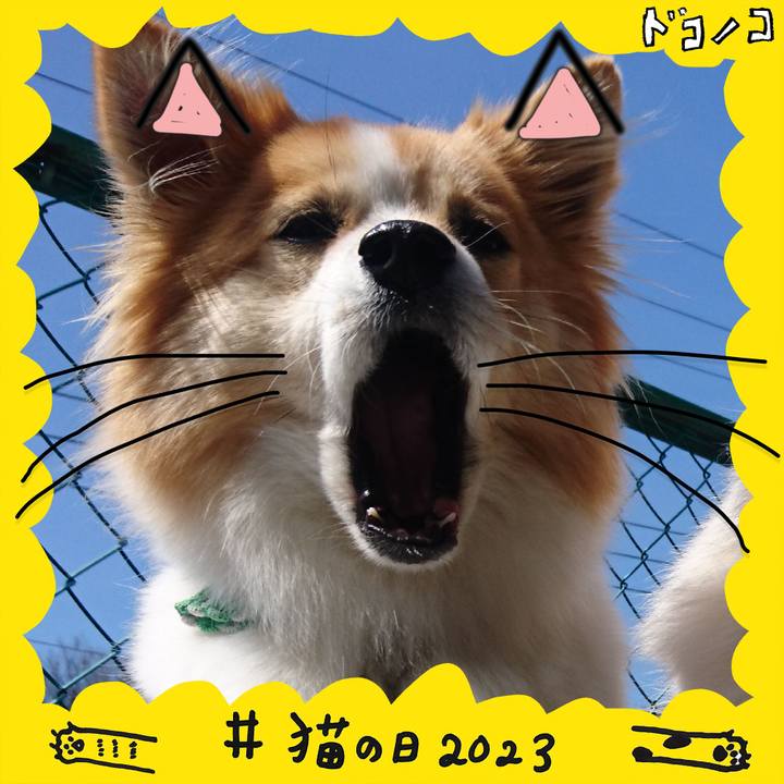 1b305d37 c154 4069 81a2 fb642aa0ad16 1677061190774