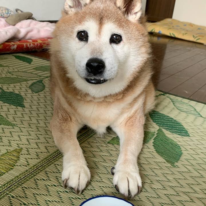 1b306baa f65a 4554 aae2 04af0ab55688 1624274412144