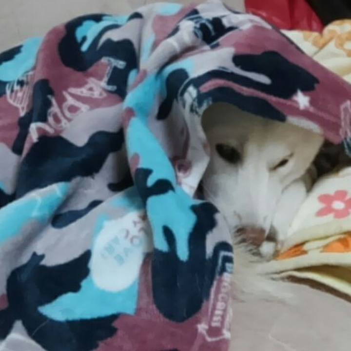 1b307634 8bb9 4840 8a5a 24c3e0bdaec7 1510488451498