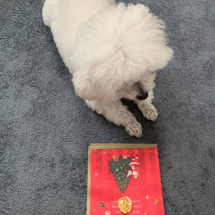 1b308544 9dc1 47de b42e 026a6017b036 1639906217727