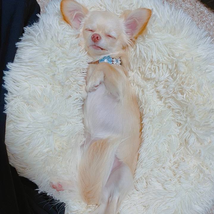 1b308f7c 8e7f 47e2 9a45 592fd72fc59b 1621592604547