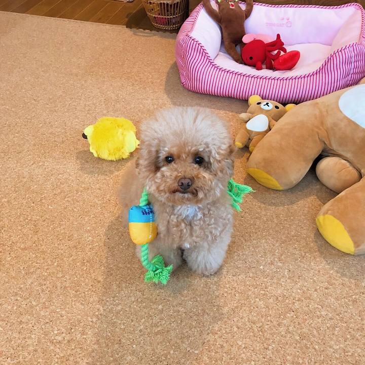 1b30b13e 95b7 41d9 bd75 d9da4f1abee8 1510110231027