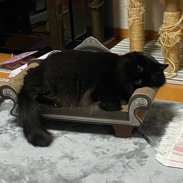 1b30c689 2dc1 4cc9 879b 3907879e4c48 1645542950594