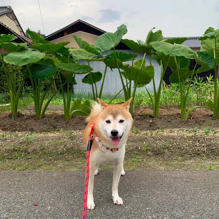 1b3141b8 ac73 467c afdd acc201f3d5cd 1664441406623