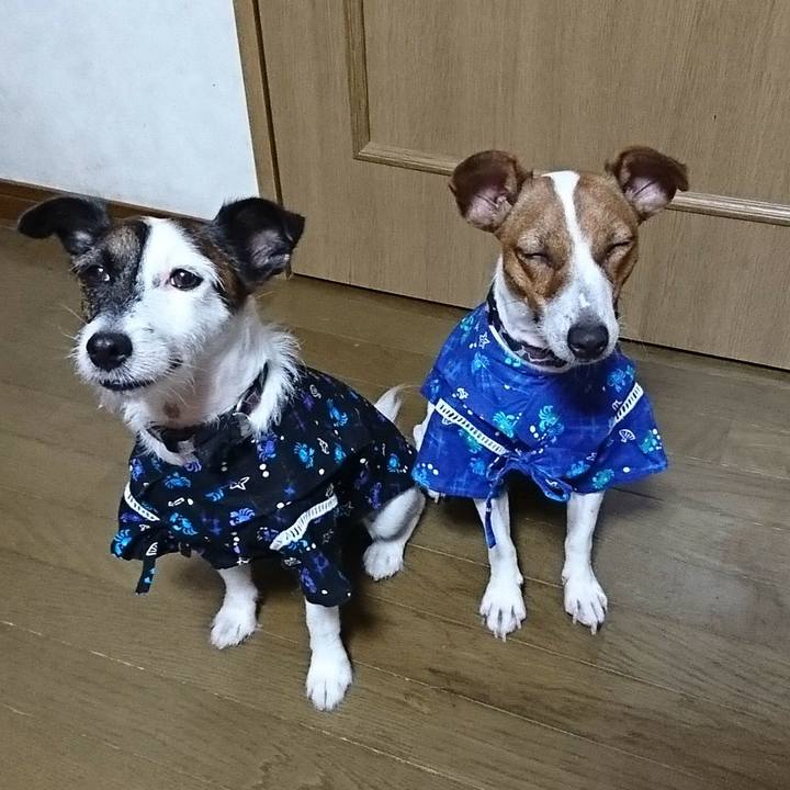 1b3142ff 688c 4f78 bc5c e92267874f05 1533384314698