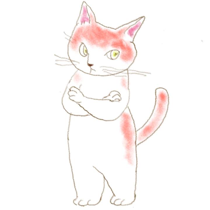 1b315662 7b43 4c41 8b5c b9504a1e9a7a 1606042727989