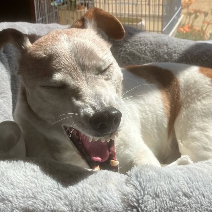 1b3179ca 3253 4096 94d4 8cc23f097cbc 1773359604729