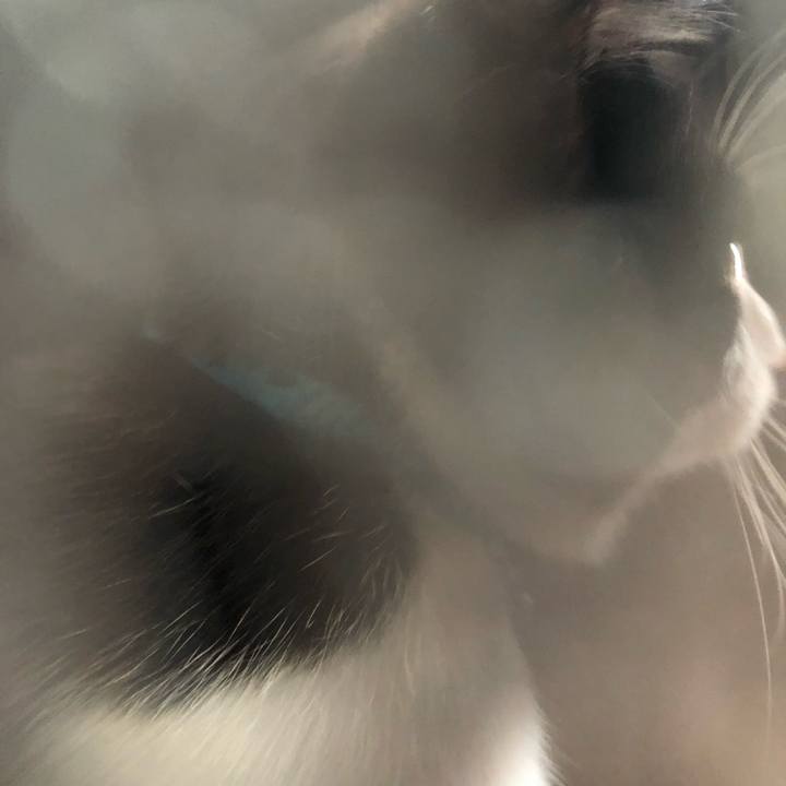 1b3181a3 5914 402e b258 ba2115bcdcc2 1524357834141