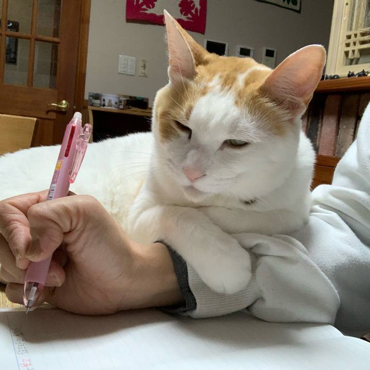 1b3181b1 e879 464c b4d8 cbeea62c71b9 1583932313374