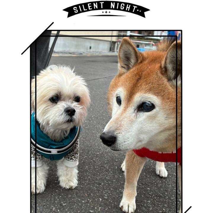 1b318e21 e1ea 4570 bf8f d3d83893b219 1766651630623