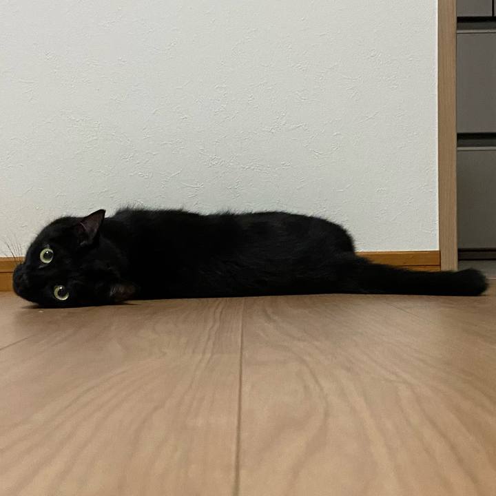 1b31e764 761c 422f b87a 76ba06d2c310 1685878379632