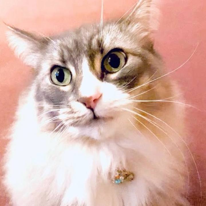 1b31fb8d 8ad5 45fa a372 0f1f10ef4631 1758641333398