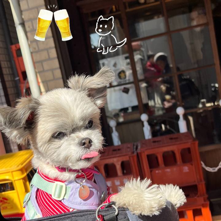 1b31ff31 96f2 4987 9480 fc64178f8b3a 1739661136616