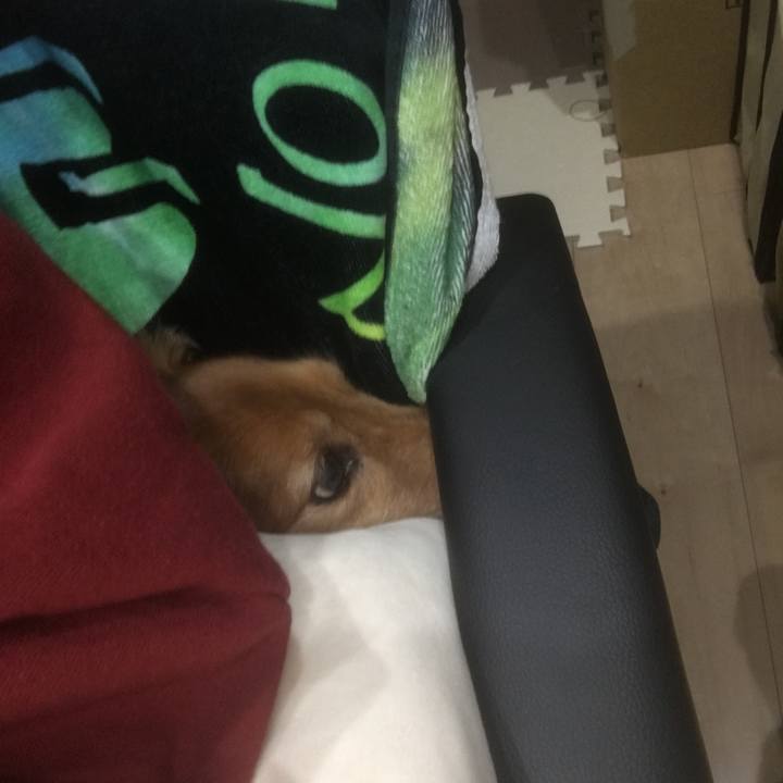 1b3201d9 163e 45d0 ab68 88a3e9da70d3 1593609041330