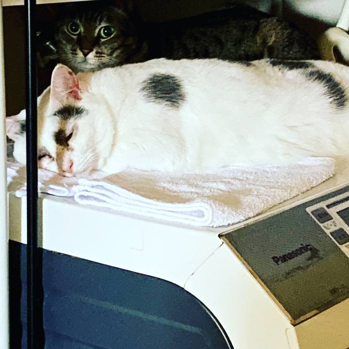 1b320b62 5110 46fd a3a0 62adf6d5a3fa 1617685606670