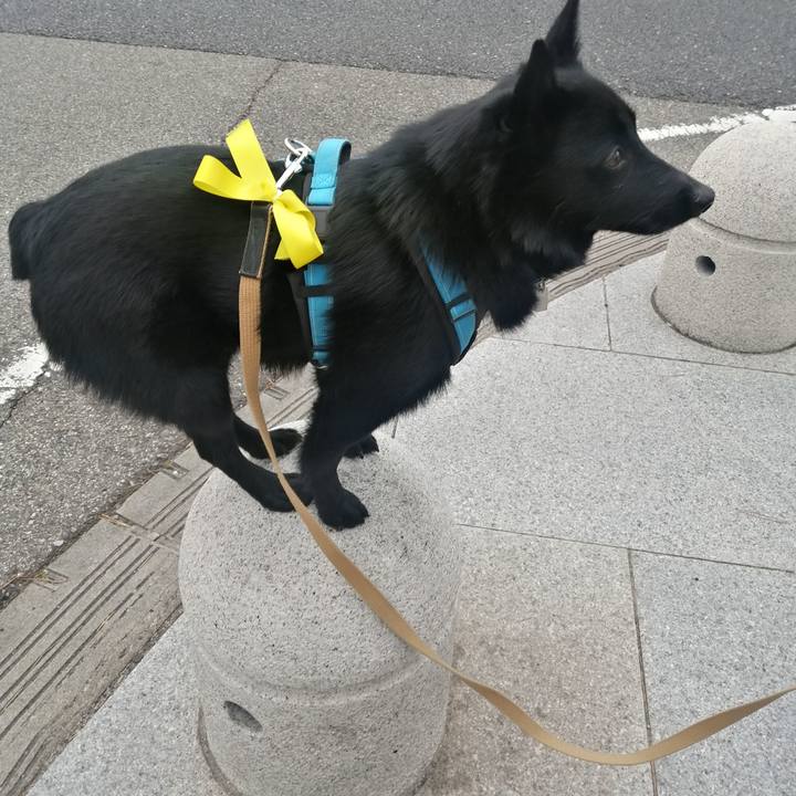 1b321331 22c5 49dd 9e59 b0ec8984ef43 1648254399226