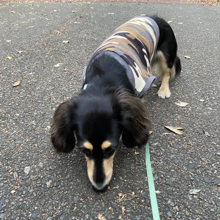 1b321c2a 1b62 4f63 b119 73f9b381e4c2 1699483873145