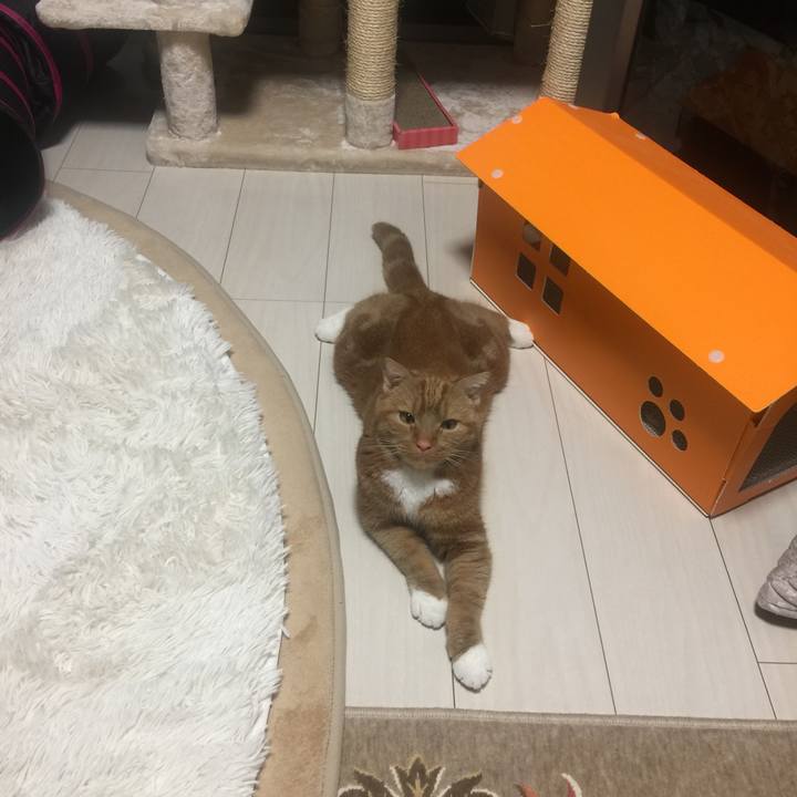 1b322593 7ca2 4fa3 af03 a312257473eb 1530967285406