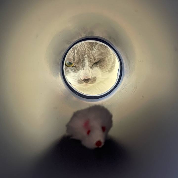 1b322bee 8490 43ff 98a7 808b49b30952 1658462348074