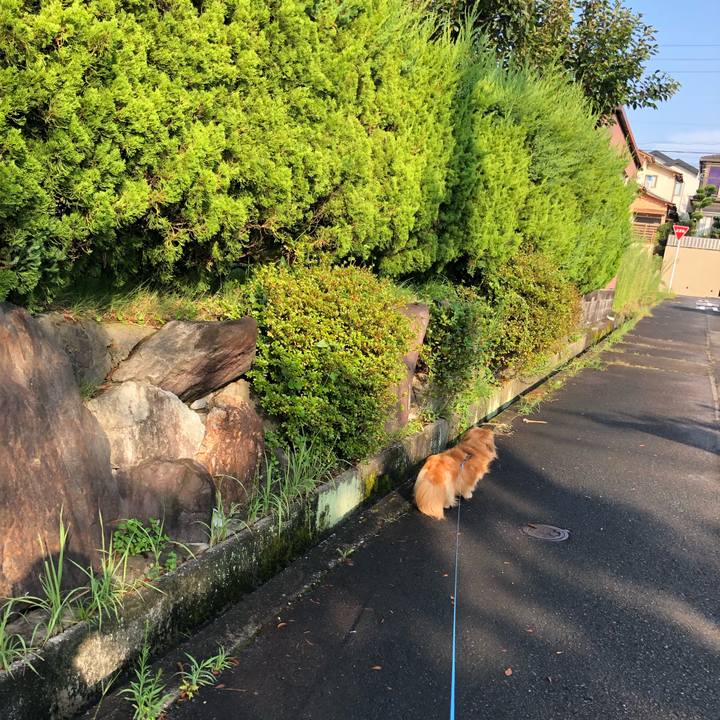 1b3267d3 fcfb 4a1a aa8d 3bf3ac4e4984 1566602611895