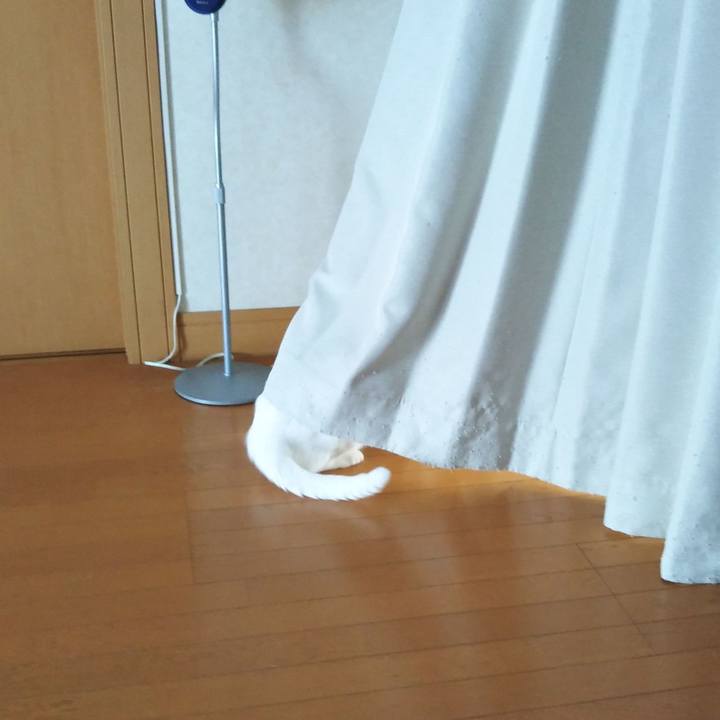 1b326e79 8e70 48fd a977 0b8ccb794715 1565485263456