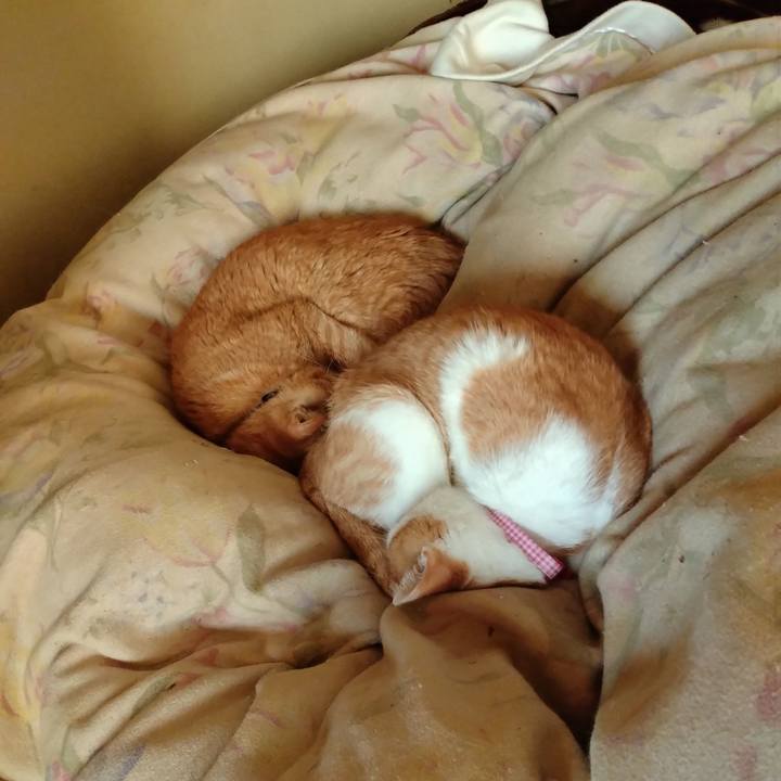 1b326f12 f5bd 481f a0e3 50d4b5fe2fe4 1745272773512