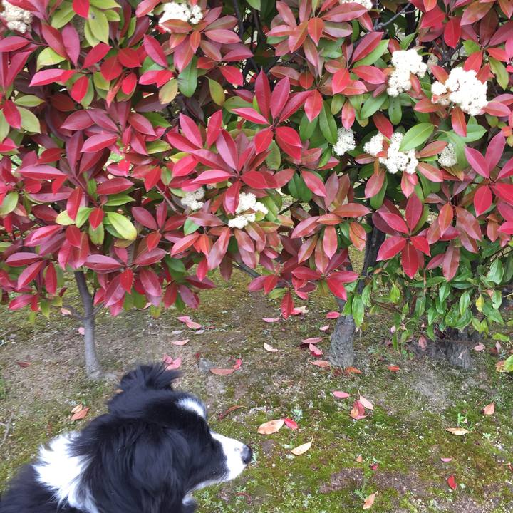 1b32734a 0dbe 4bba a8f1 10a5284ae77f 1556240274796