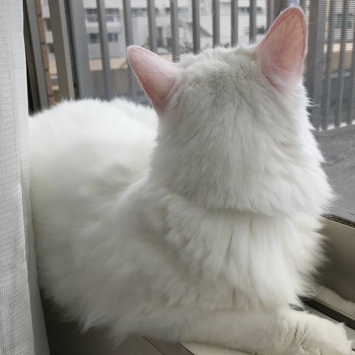 1b328336 e7fe 4c3b 802e 1055a381e17c 1533165417882