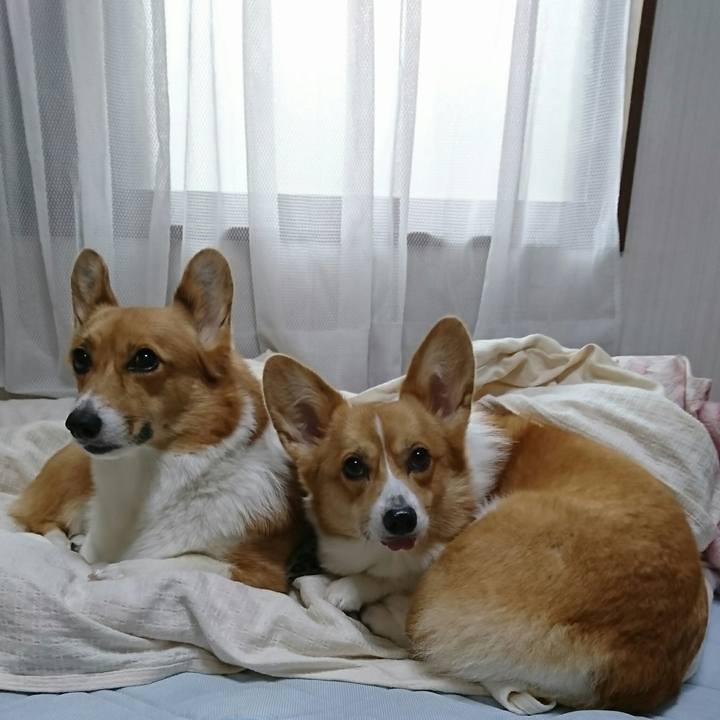 1b32a606 b7c4 4fa4 97b5 a498397ffa6a 1508377408432