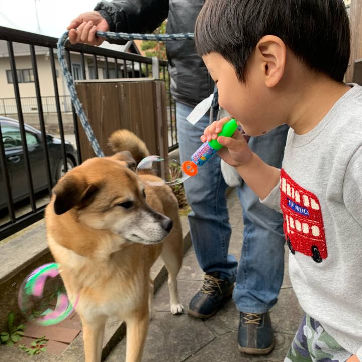 1b32a84a ae10 46bb b18d f79a356642ef 1554204652183