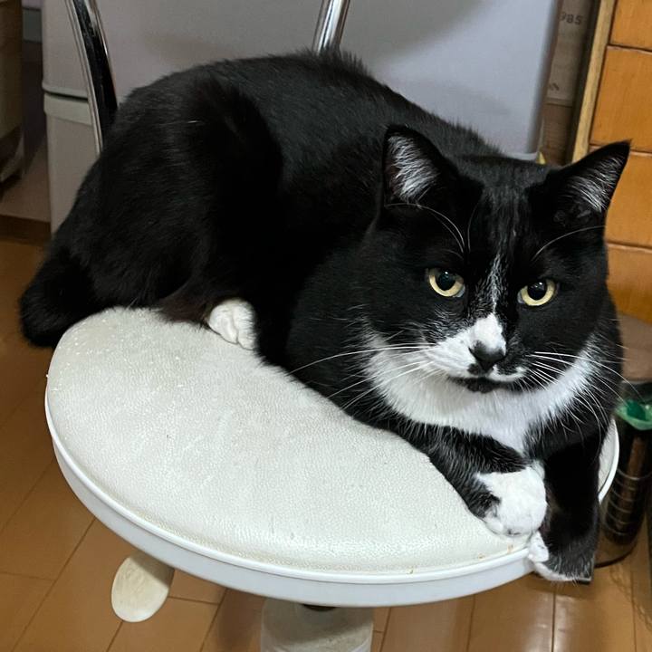 1b32cbe5 0b8f 47d4 98da f8bf450e0aff 1682393352613