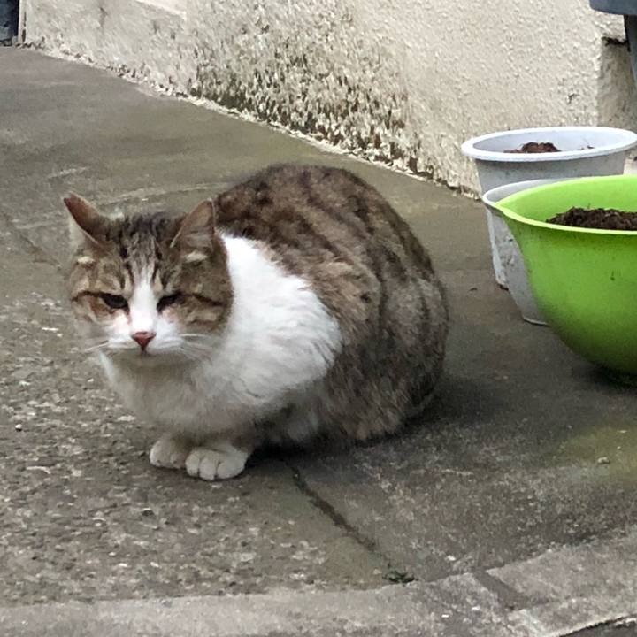 1b33026c 6f97 48f1 b8a9 d5069b032b32 1517325783561