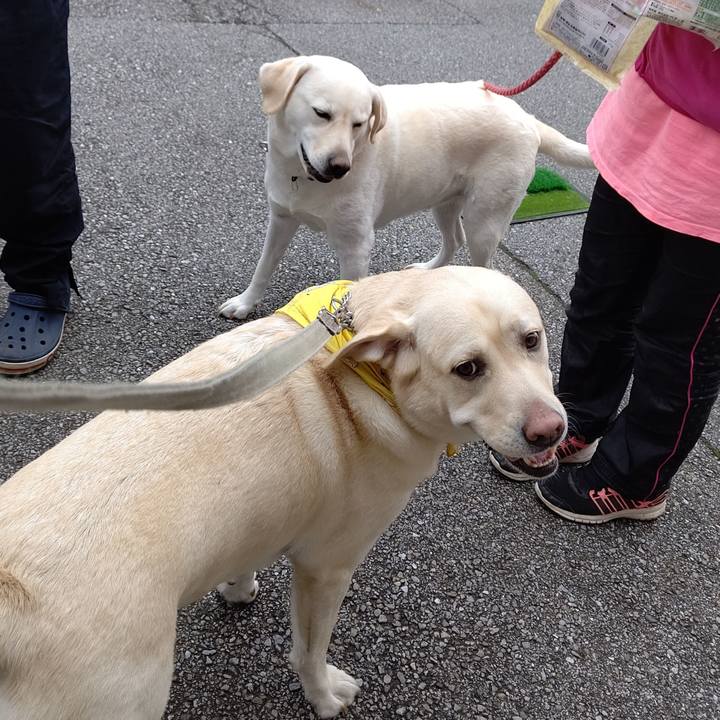 1b331af8 556e 4d7c b319 586df8fae0ab 1603077840232