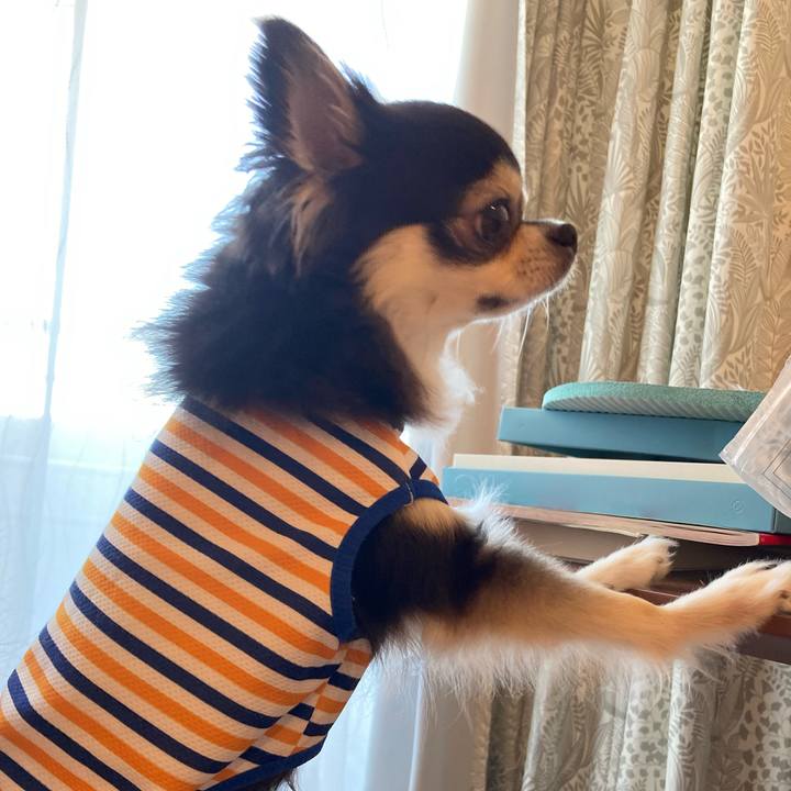 1b3325dd bc8a 463f abad 8f734005dca2 1718553138215