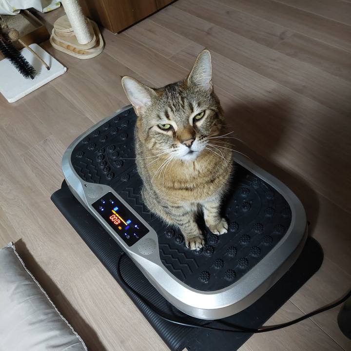 1b3330f5 59db 4881 81f6 e8d2f5098eef 1645655971890