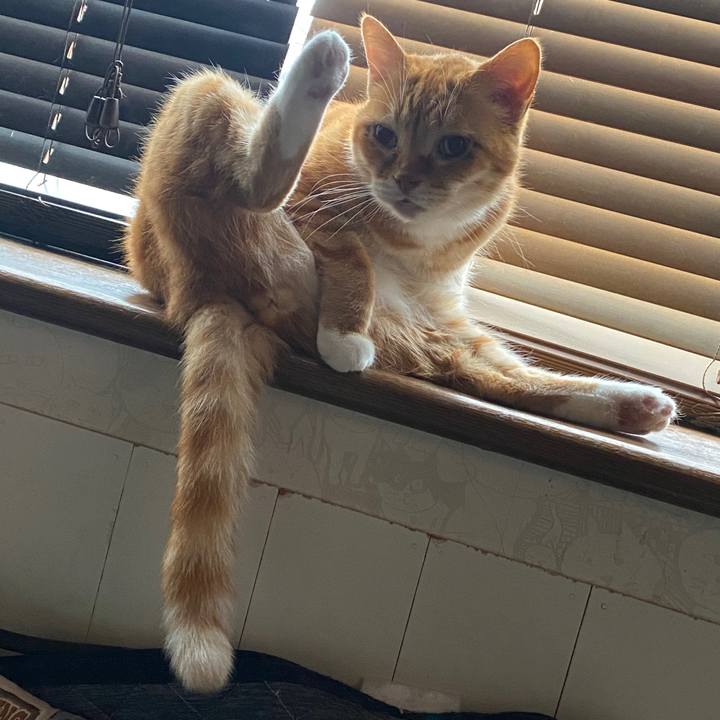 1b334af7 5694 4ce6 a21e 9a340302e5ef 1586046019496