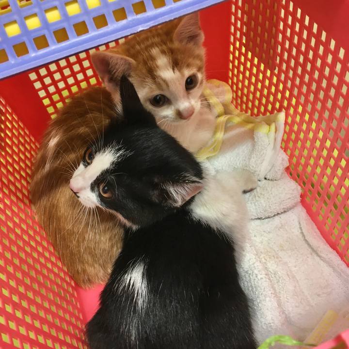 1b33661c 66a6 4265 92a7 41731dbb72d9 1579750676961