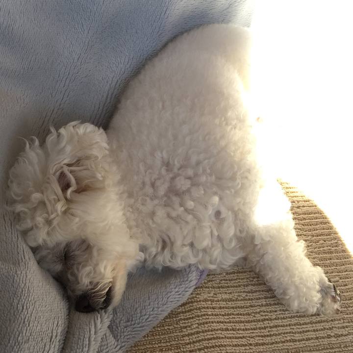 1b3378f6 300c 4bf9 8182 14b0c879ac71 1546571760409