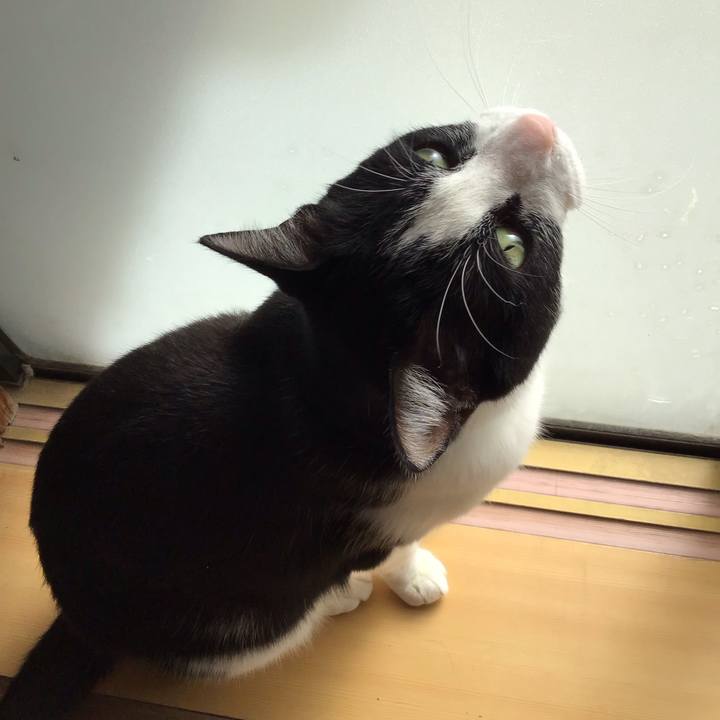 1b33baa5 b6ad 45b3 9853 9683b21b024d 1712451206277