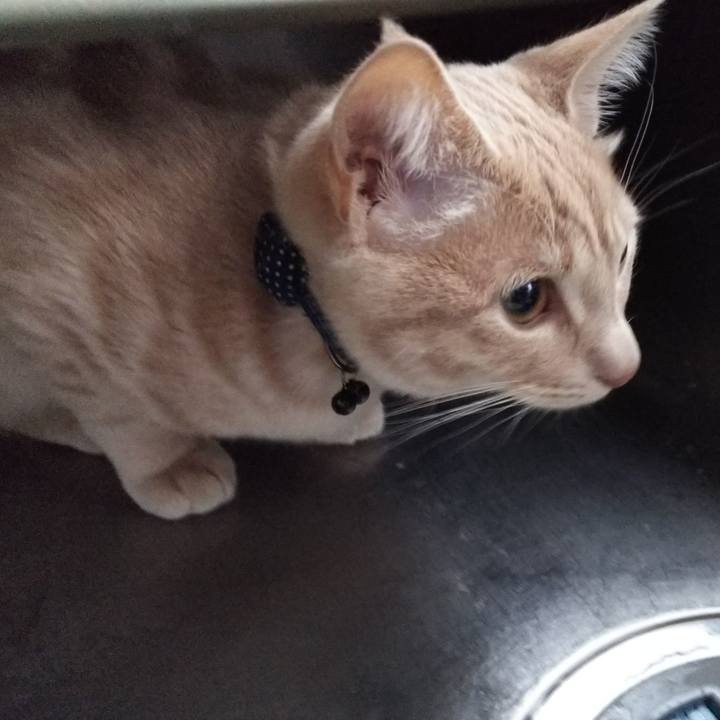 1b33c16b 1f17 4ece aae6 d1abf2e049c8 1546212750422