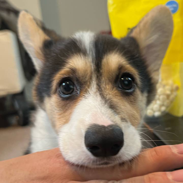 1b33d45a af41 456e 9e68 51eadc218b8c 1770854506675