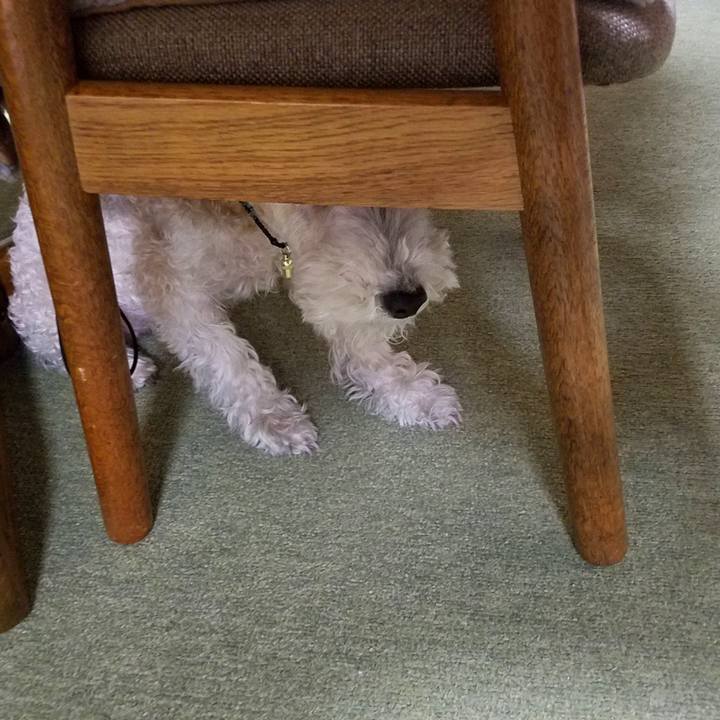 1b33e43c de22 46a1 9498 f178eaabf75f 1543755977456