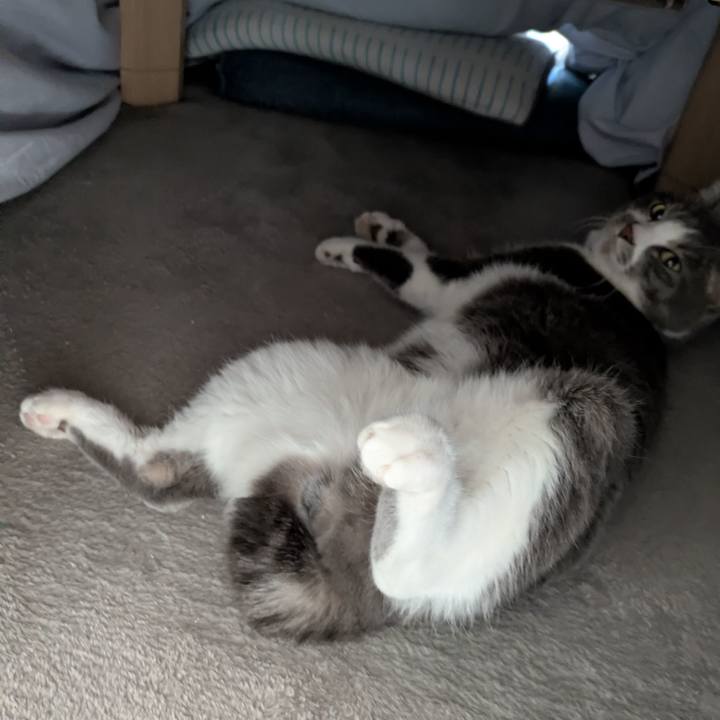 1b33f868 59e2 4465 b20a 3c66bd48c280 1769755590035