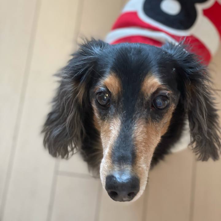 1b343df2 5242 4ea1 9c7e 17c9848fdaf4 1637190133047