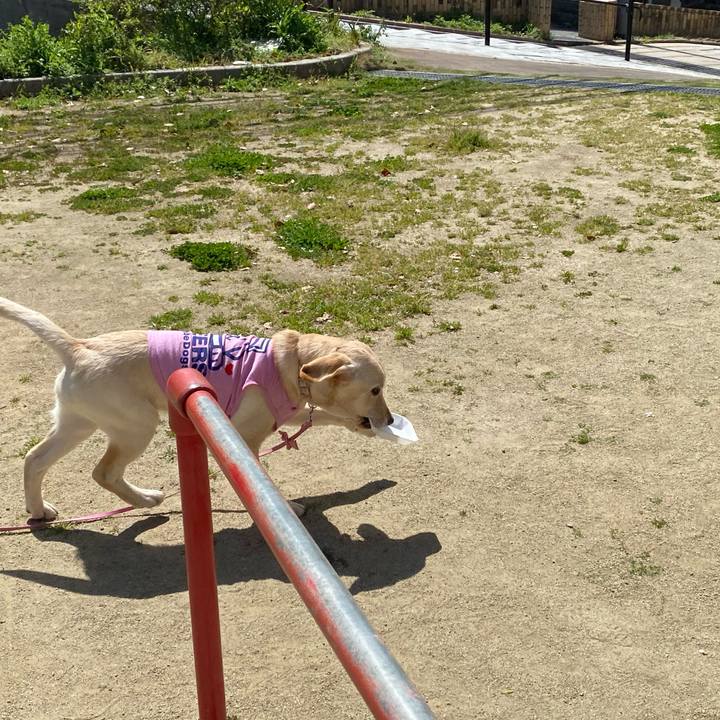 1b343e9f 527e 4bfe b502 118b3970f69f 1616824441827